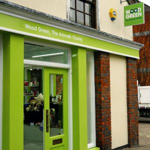 Wood Green charity shop, Bury St Edmunds